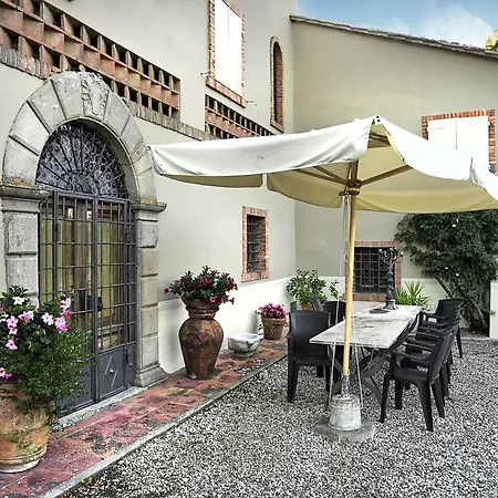 Viola Villa Lucca